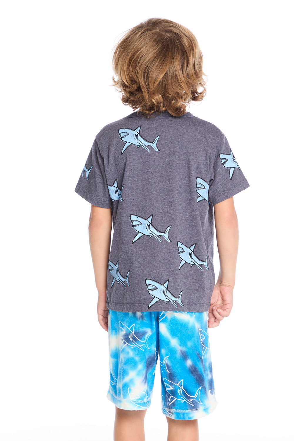 Shark Bite Tee Boys chaserbrand