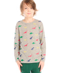 Front view of boy wearing Chaser’s Multi Dinos grey long sleeve top with colorful dinosaur patterns against a white background