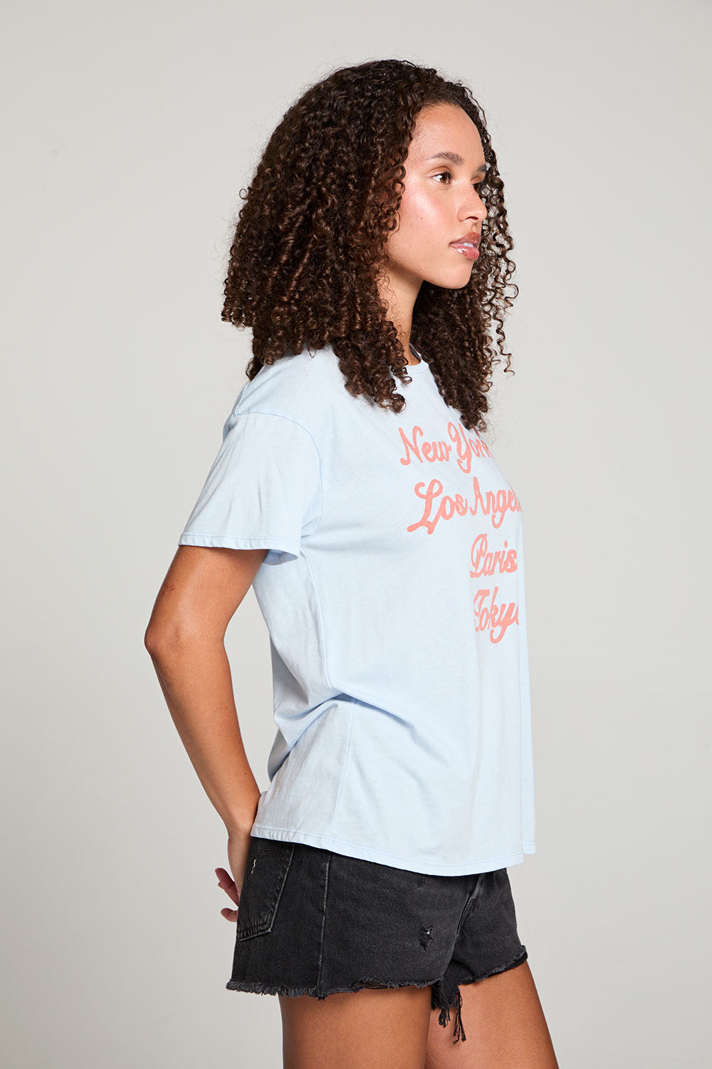 Destinations Tee WOMENS chaserbrand