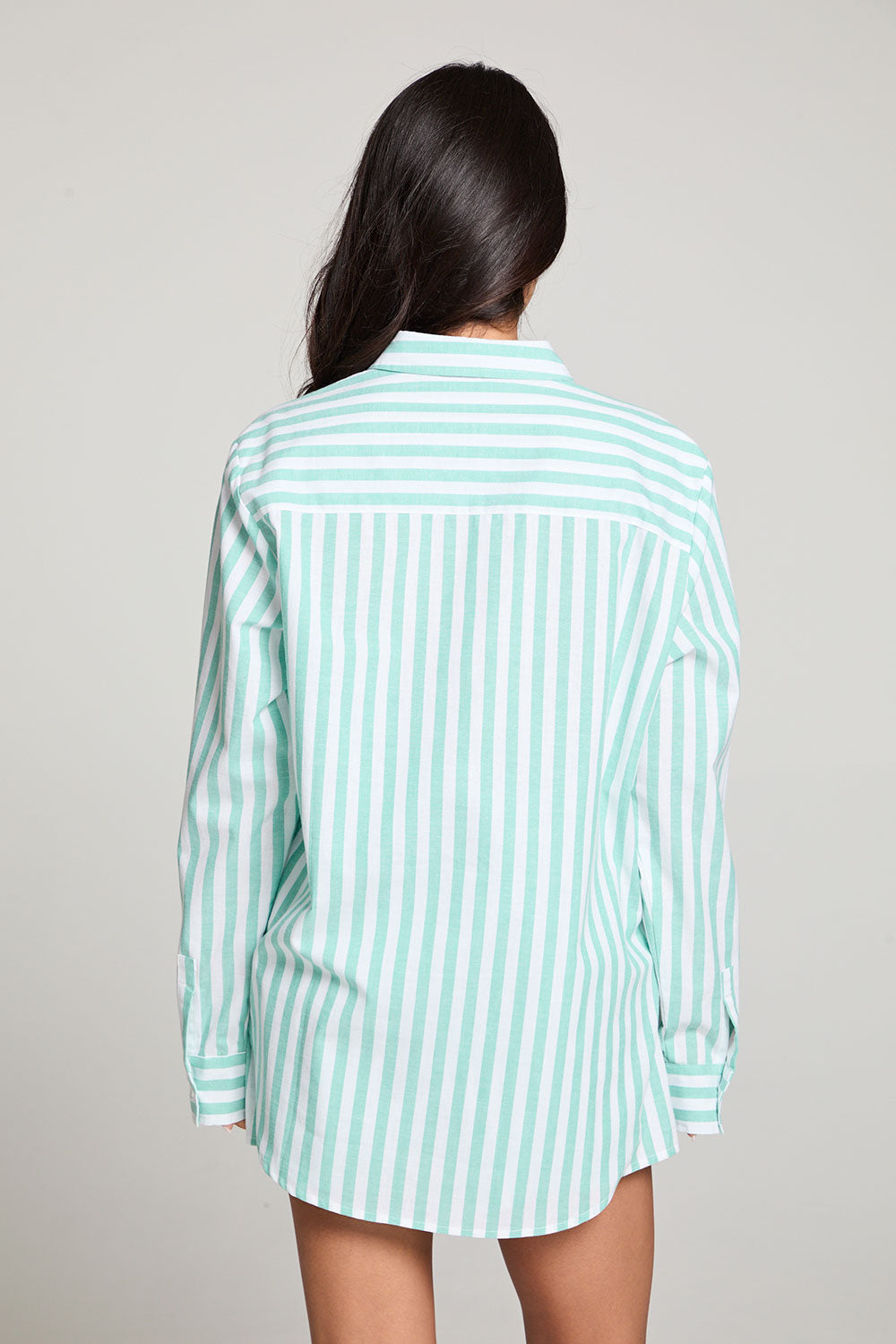 Paso Aloe Stripe Button Up WOMENS chaserbrand