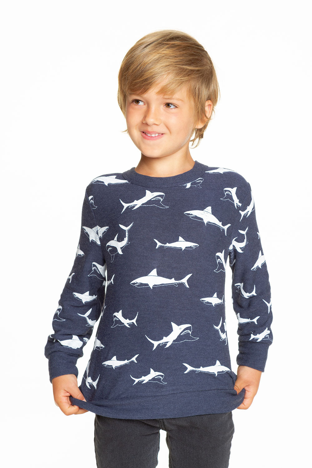 Happy Sharks BOYS - chaserbrand