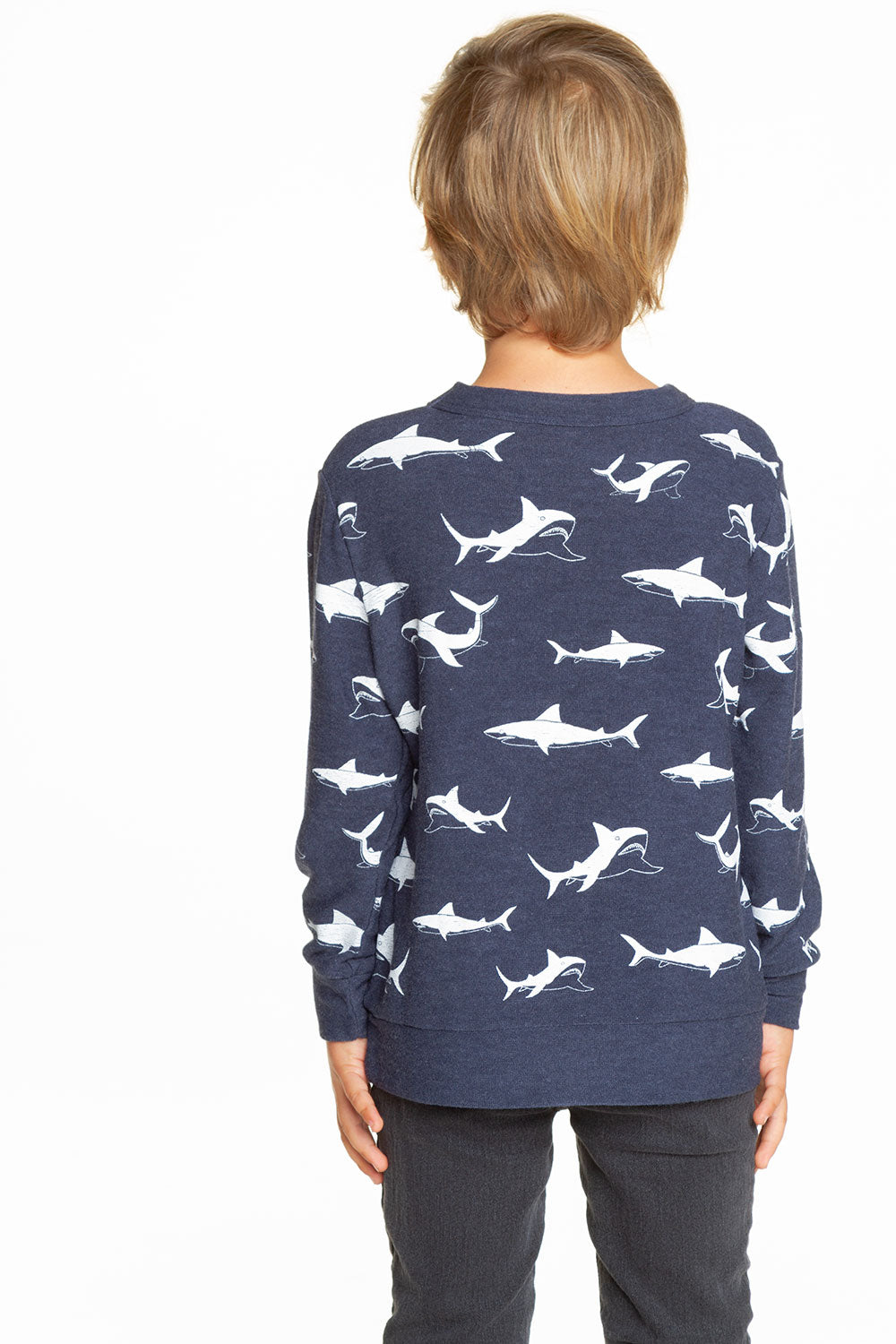 Happy Sharks BOYS - chaserbrand