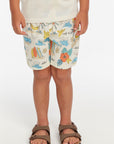 Surf's Up Boys Shorts Boys chaserbrand