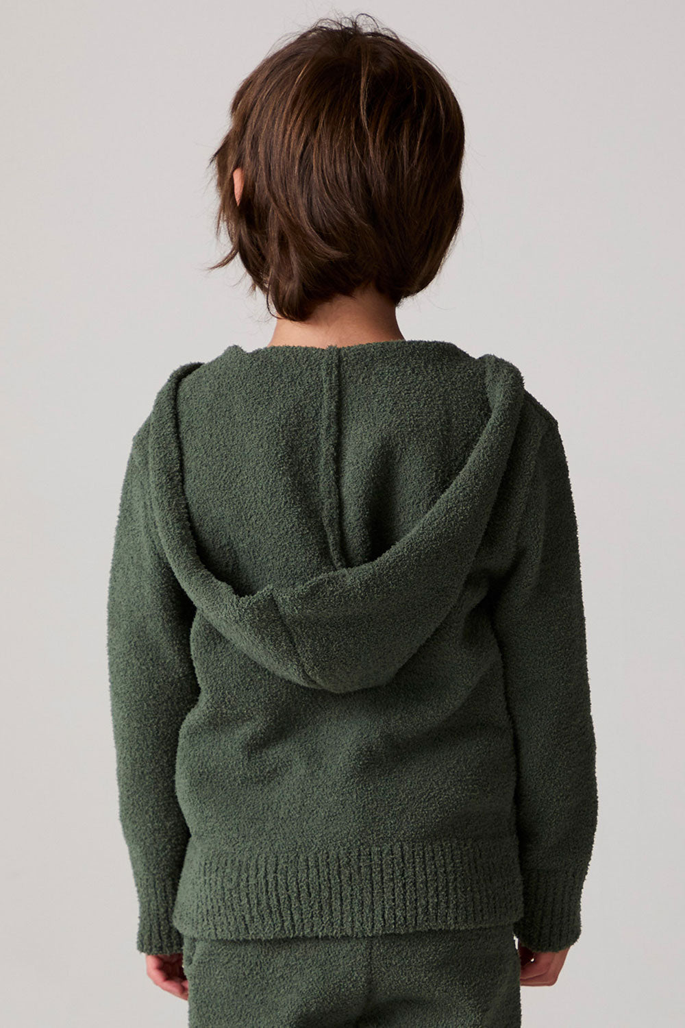 Model wearing Chaser's Lime Stripe Boys Zip-Up Hoodie in leafy green with striped detailing, back view