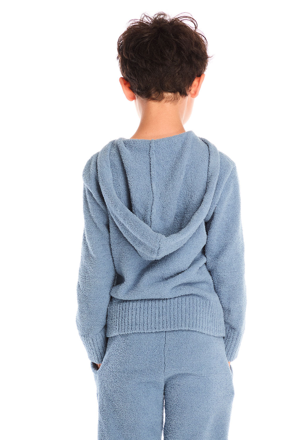Back view of boy wearing Chaser’s Paxton Zip Up true blue hoodie on a white background