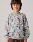 Model wearing Chaser's Dolomiti Boys Pullover in heather grey with distinctive graphic and design details, front view