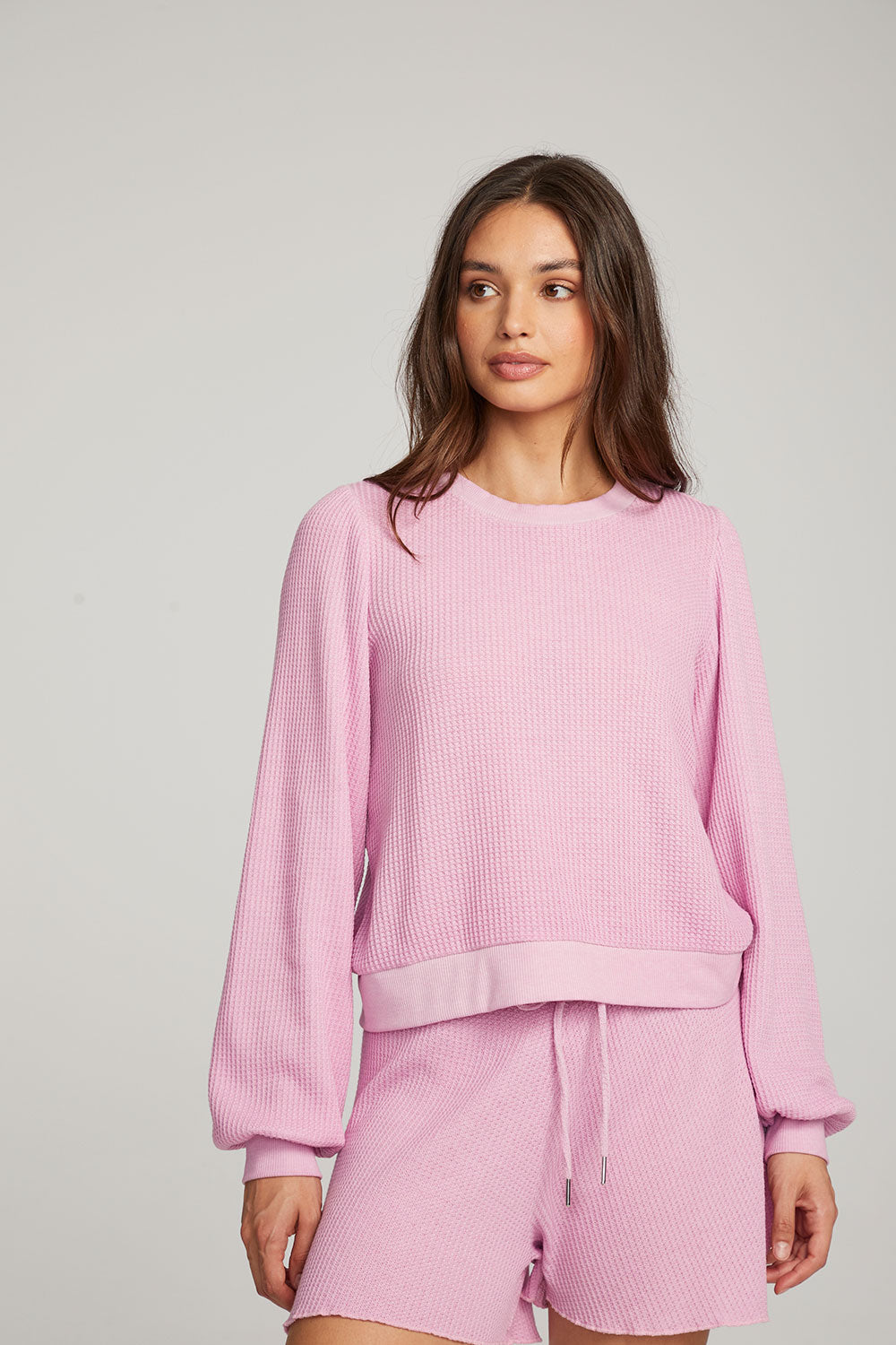 Owlsey Pastel Lavender Pullover WOMENS chaserbrand