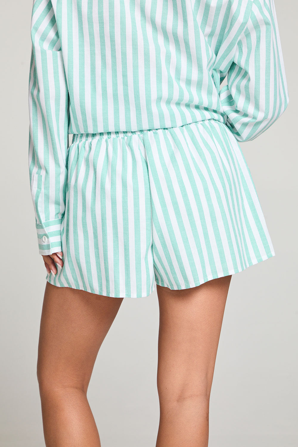 Durango Aloe Stripe Shorts WOMENS chaserbrand