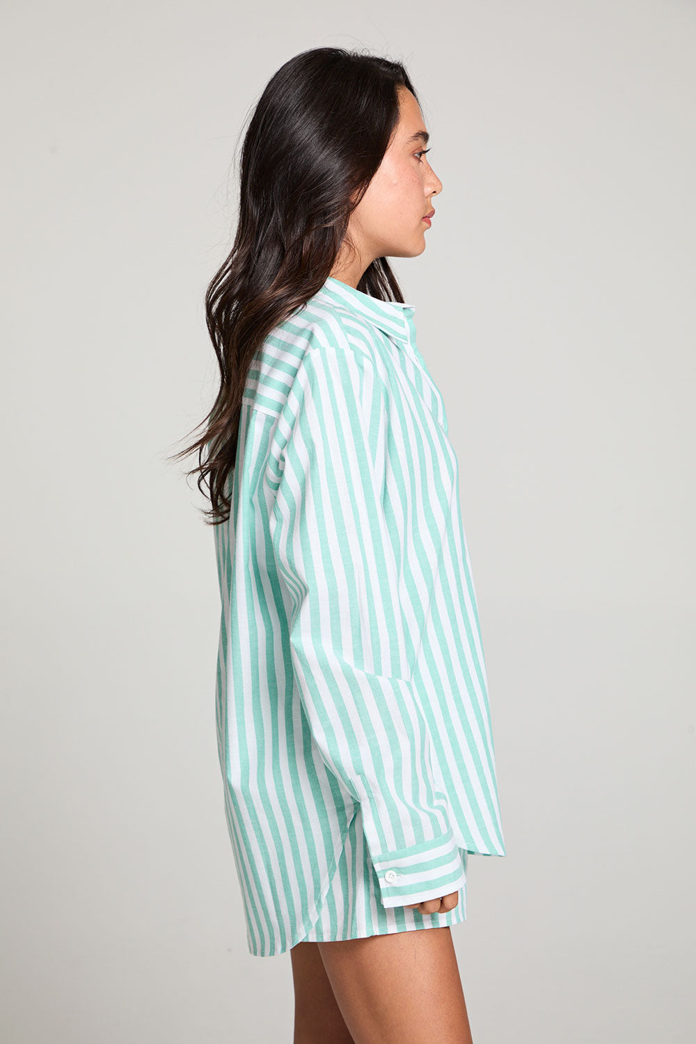 Paso Aloe Stripe Button Up WOMENS chaserbrand