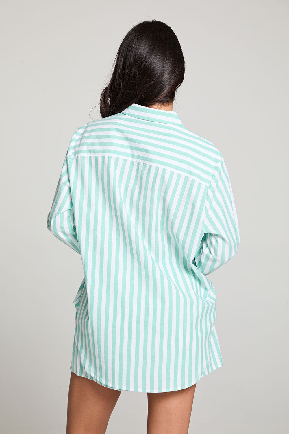 Paso Aloe Stripe Button Up WOMENS chaserbrand
