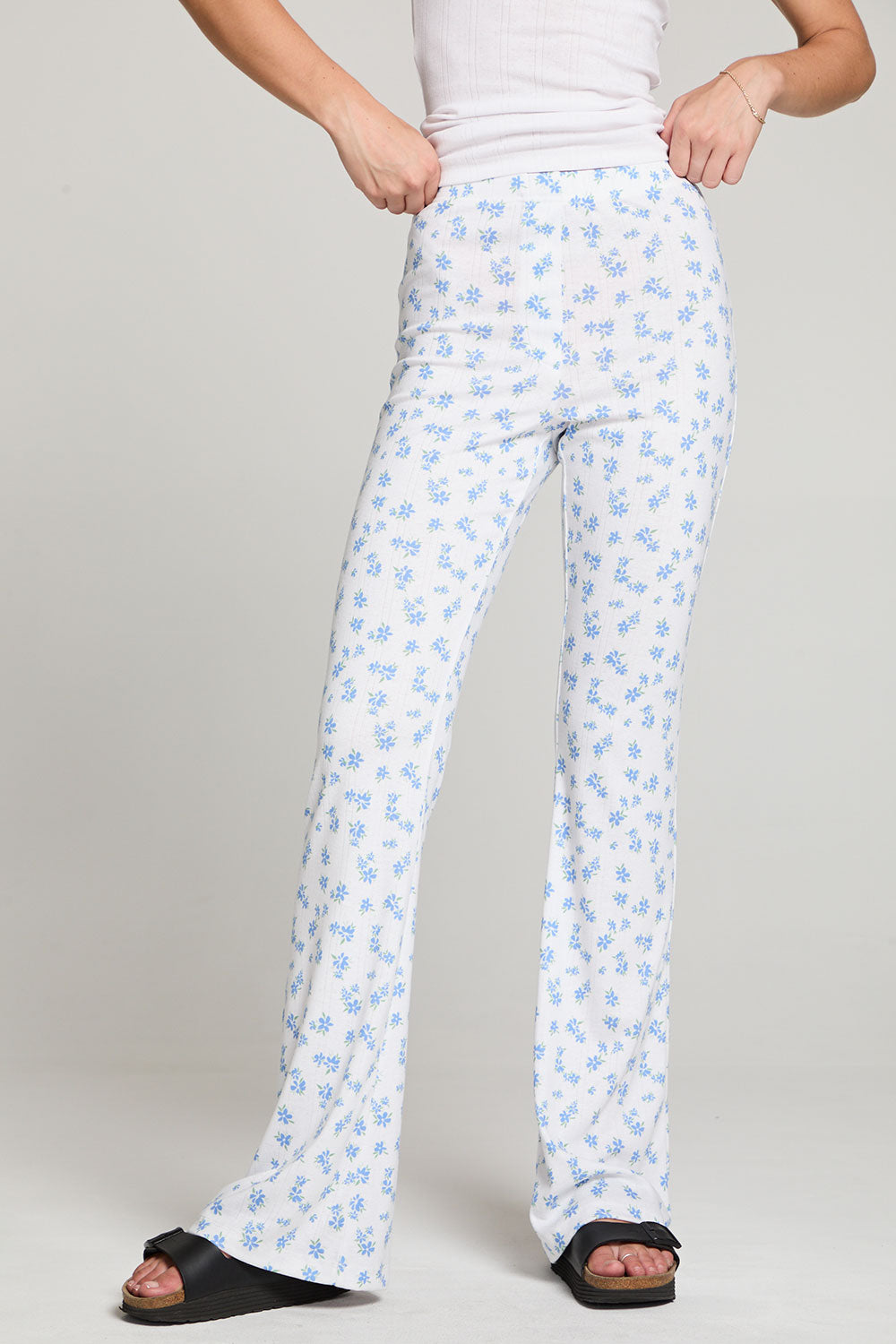 Camila Blueberry Ditsy Joggers WOMENS chaserbrand