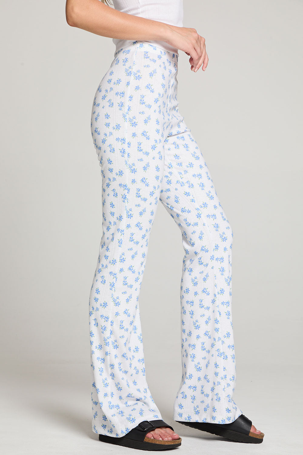 Camila Blueberry Ditsy Joggers WOMENS chaserbrand