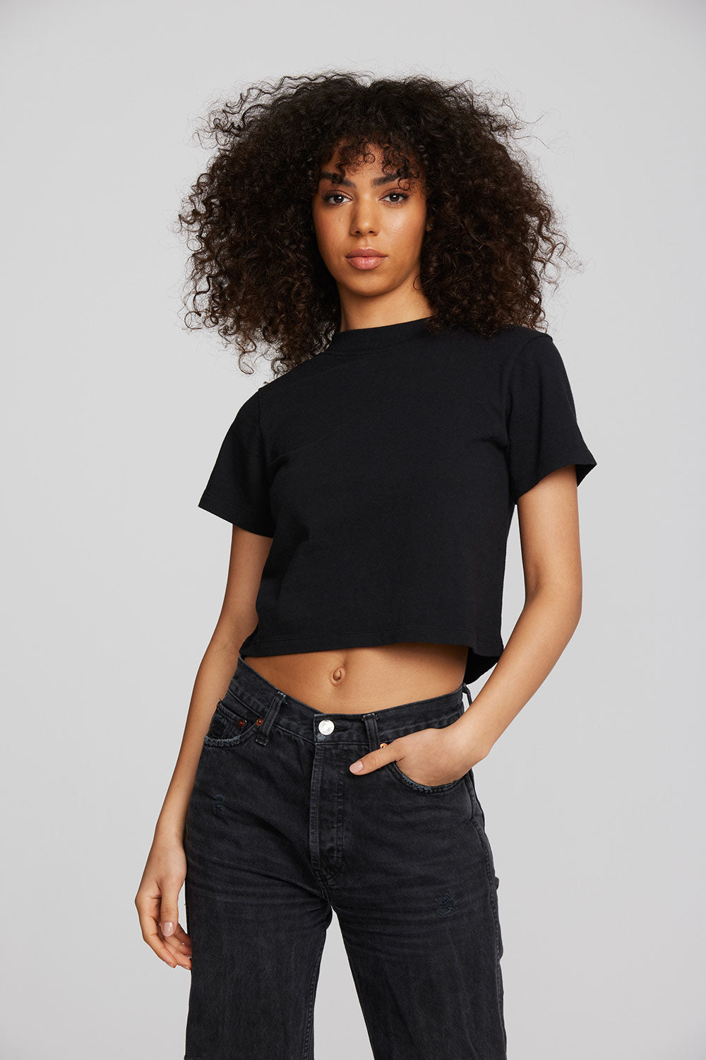 Coast Cotton Jersey Mockneck Tee with Rib Womens chaserbrand