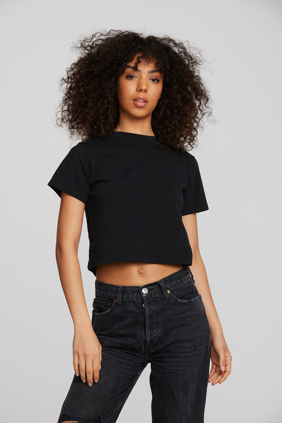 Coast Cotton Jersey Mockneck Tee with Rib Womens chaserbrand
