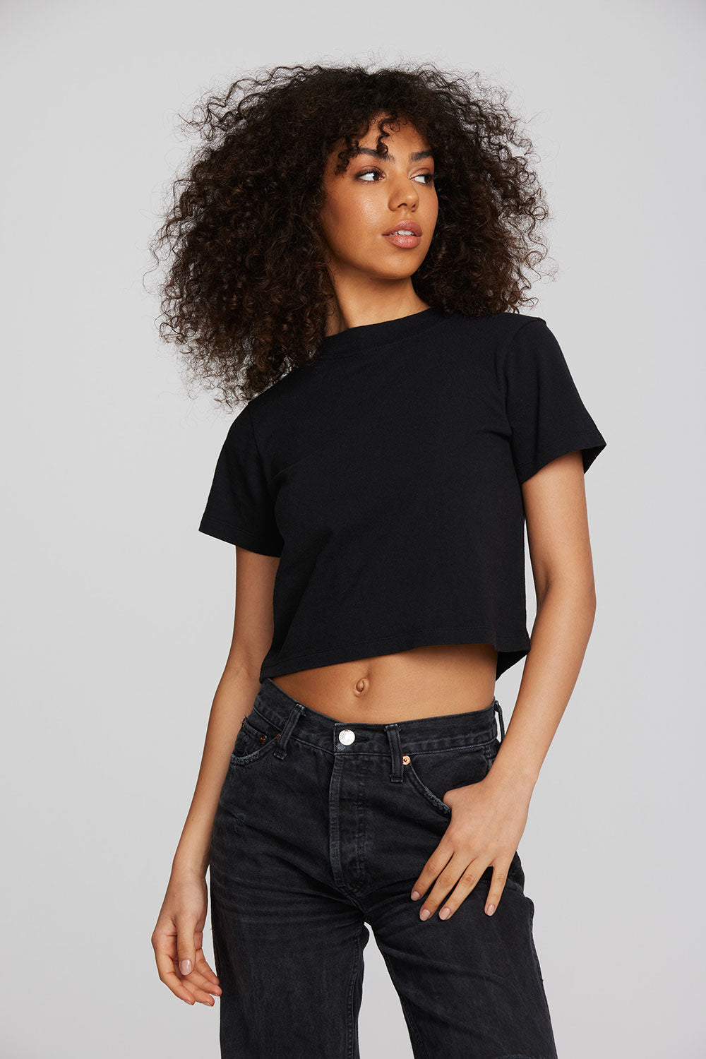 Coast Cotton Jersey Mockneck Tee with Rib Womens chaserbrand