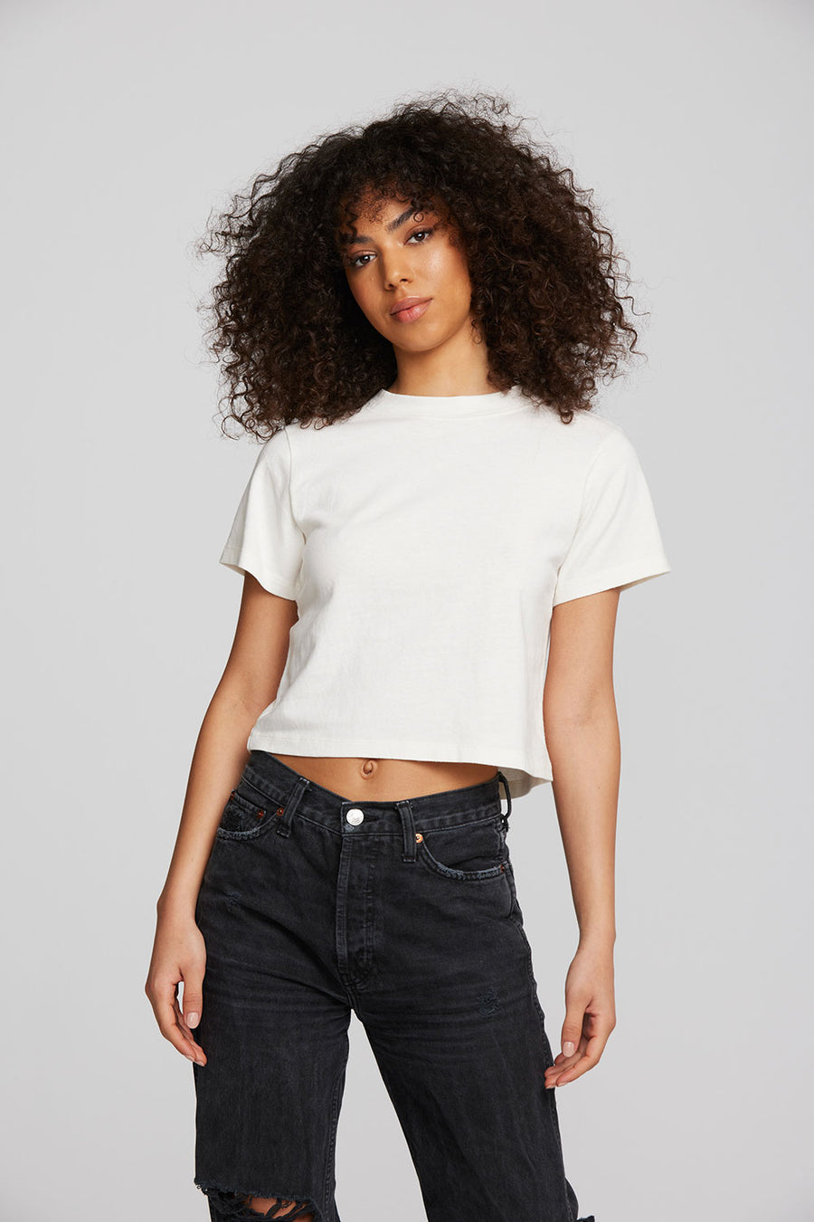 Coast Cotton Jersey Mockneck Tee with Rib Womens chaserbrand